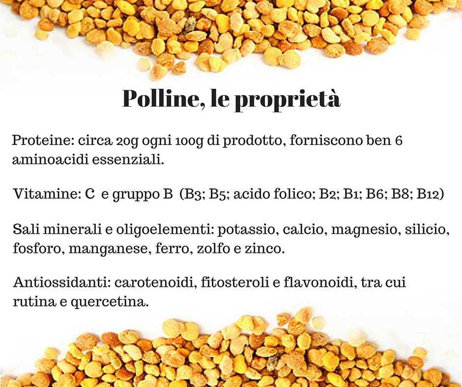 Polline D'api Fa Crescere Il Seno Polline d'api, proprietà e utilizzo